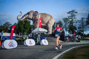 BIB: 
                            <button type="button" onclick="openModal(26541944)" class="btn btn-primary btn-sm float-right btn-popup" data-toggle="modal" data-target=".modal-high-quality">
                        <i class="fas fa-shopping-cart"></i> Add to Cart
                    </button>
                                            <button type="button" onclick="isThisMe(26541944, true)" class="btn btn-success btn-sm float-right btn-popup btn-isme hidden" data-toggle="tooltip" data-placement="bottom" title="นี่คือรูปของคุณใช่ไหม คลิกที่นี่เพื่อเอาเข้าอัลบั้ม">
                        <i class="fas fa-plus"></i> Add to album
                    </button>
                    <button type="button" onclick="isThisMe(26541944, false)" class="btn btn-warning btn-sm float-right btn-popup btn-isnotme hidden">
                        <i class="fas fa-ban"></i> Remove from album
                    </button>